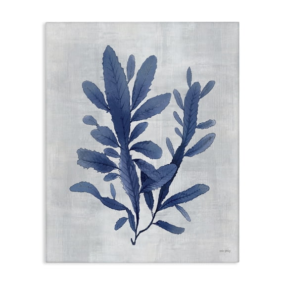 Stupell Industries Blue Sea Algae Canvas Wall Art design by Amber Sterling, 48 x 36