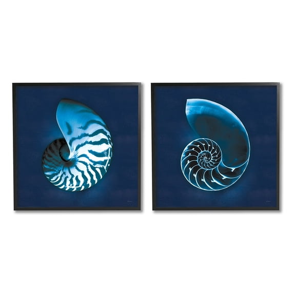 Stupell Industries Blue Spiral Nautilus Shell with Interior Pattern Black Framed by Sue Schlabach