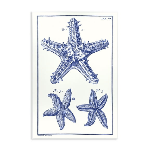 Stupell Industries Blue Starfish Diagrams Animals & Insects Painting Unframed Art Print Wall Art, 10 x 15