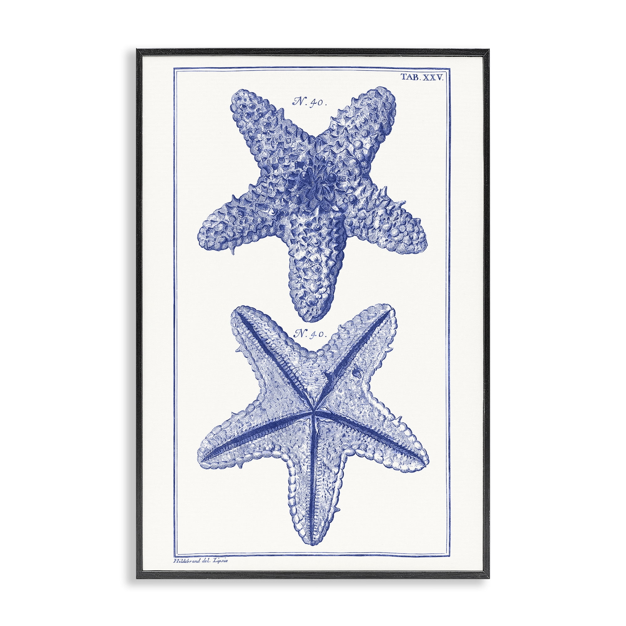 Stupell Industries Blue Starfish Studies Animals & Insects Painting Black Framed Art Print Wall Art, 20 x 30