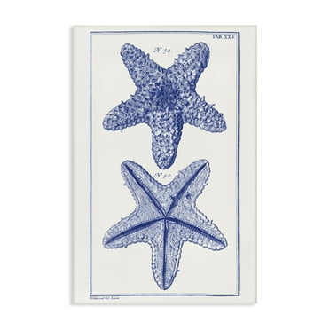 Stupell Industries Blue Starfish Studies Animals & Insects Painting Gallery Wrapped Canvas Art Print Wall Art, 16 x 24