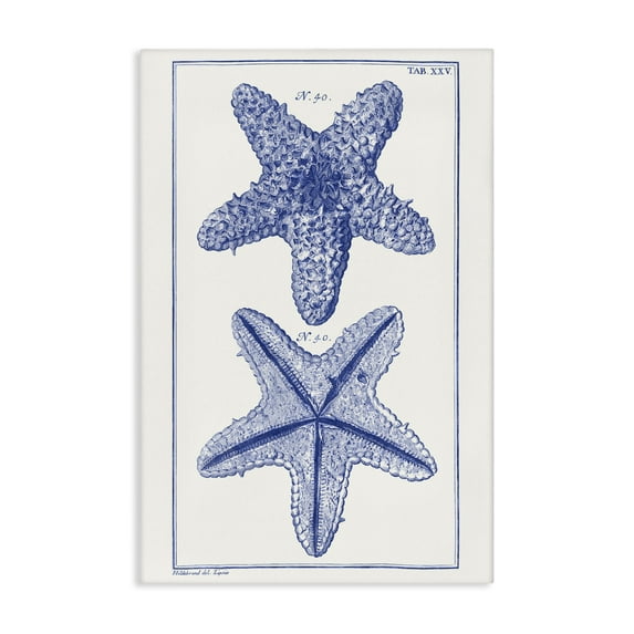 Stupell Industries Blue Starfish Studies Animals & Insects Painting Gallery Wrapped Canvas Art Print Wall Art, 30 x 45