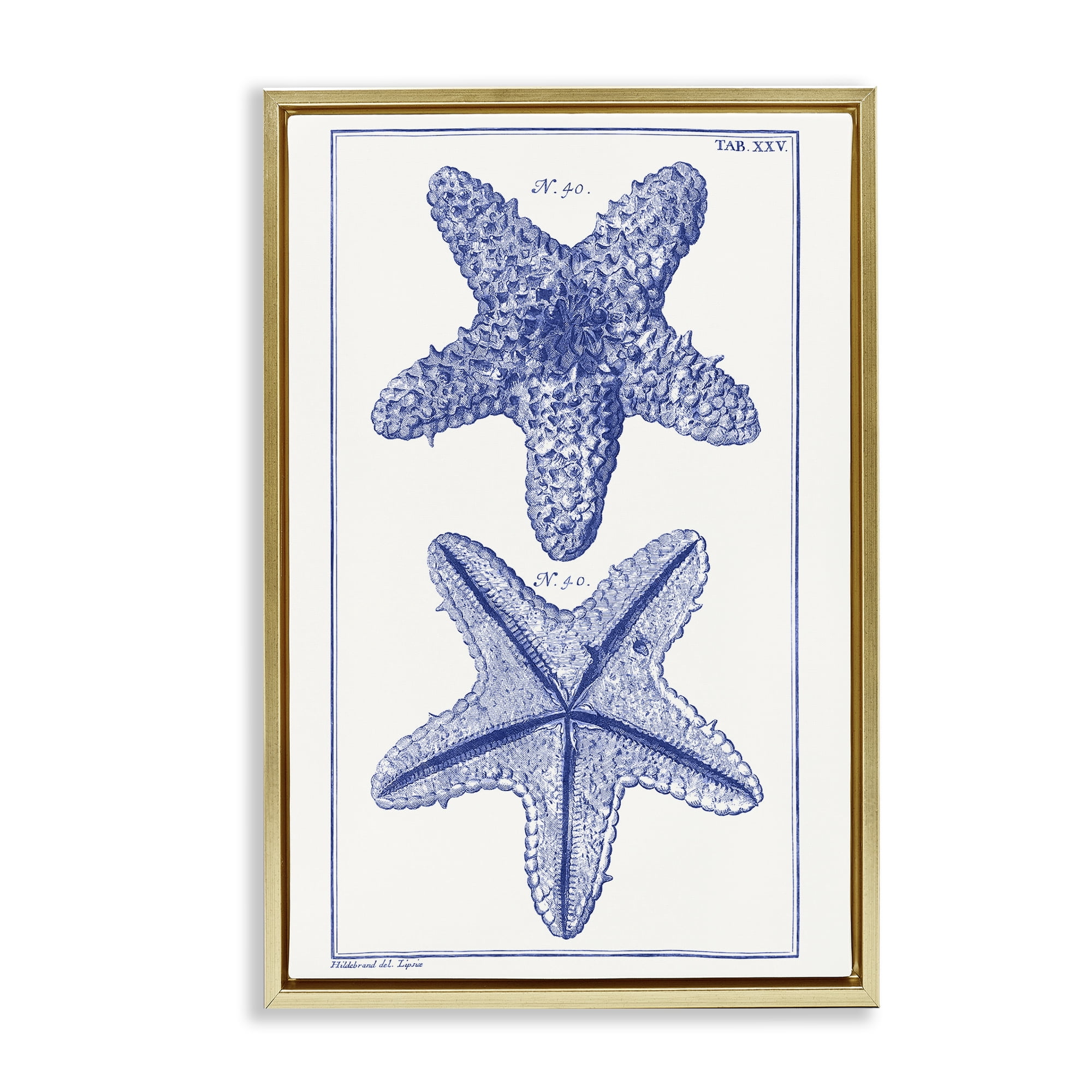 Stupell Industries Blue Starfish Studies Animals & Insects Painting Gold Floater Framed Canvas Art Print Wall Art, 17 x 25