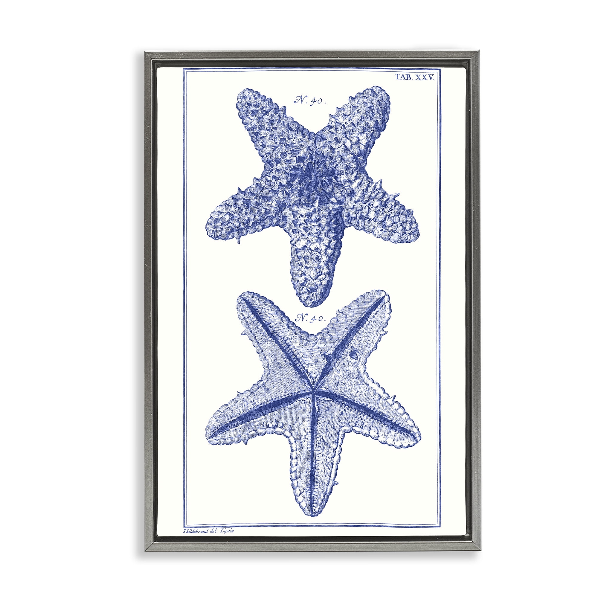 Stupell Industries Blue Starfish Studies Animals & Insects Painting Gray Floater Framed Canvas Art Print Wall Art, 17 x 25