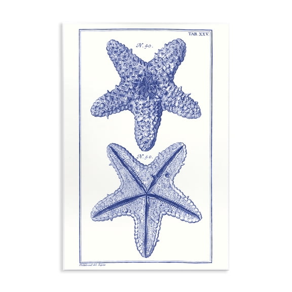 Stupell Industries Blue Starfish Studies Animals & Insects Painting Unframed Art Print Wall Art, 10 x 15