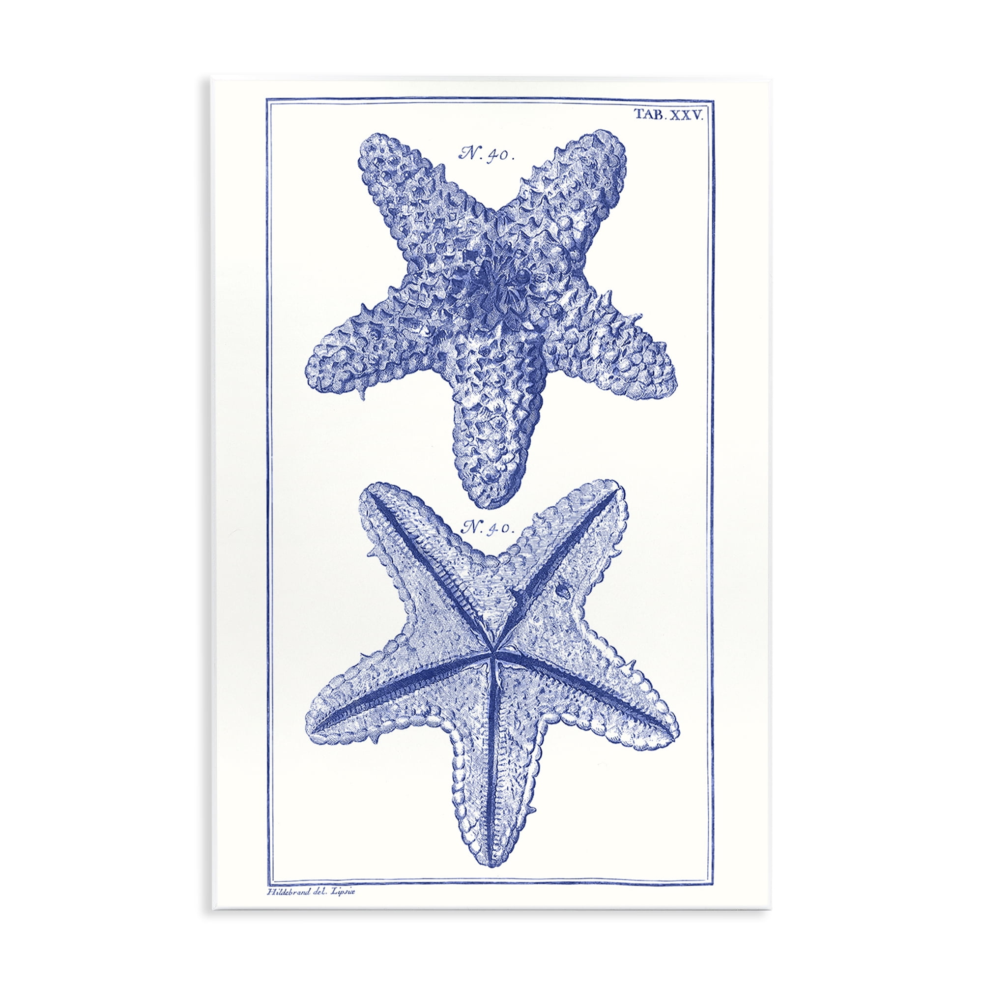 Stupell Industries Blue Starfish Studies Animals & Insects Painting Unframed Art Print Wall Art, 13 x 19
