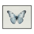 thumbnail image 1 of Stupell Industries Blue Symmetrical Butterfly Animals Painting Black Framed Art Print Wall Art, 14 x 11, 1 of 2