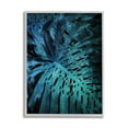 thumbnail image 1 of Stupell Industries Blue Tropical Palm Leaves Dark Forest Plants Botanical & Floral Photography Gray Framed Art Print Wall Art, 11 x 14, 1 of 7