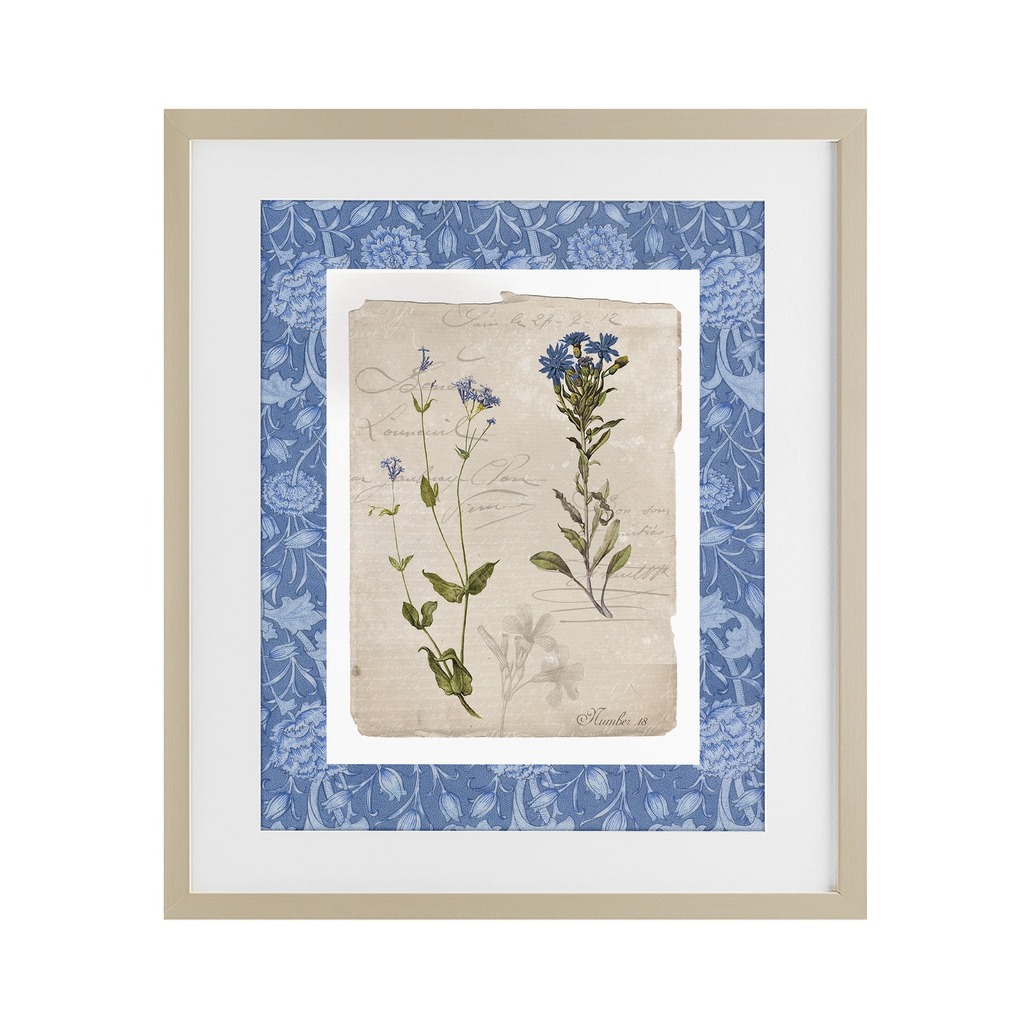 Stupell Industries Blue Vintage Botanicals Birch Framed Print Under Glass, design by Livi Finn