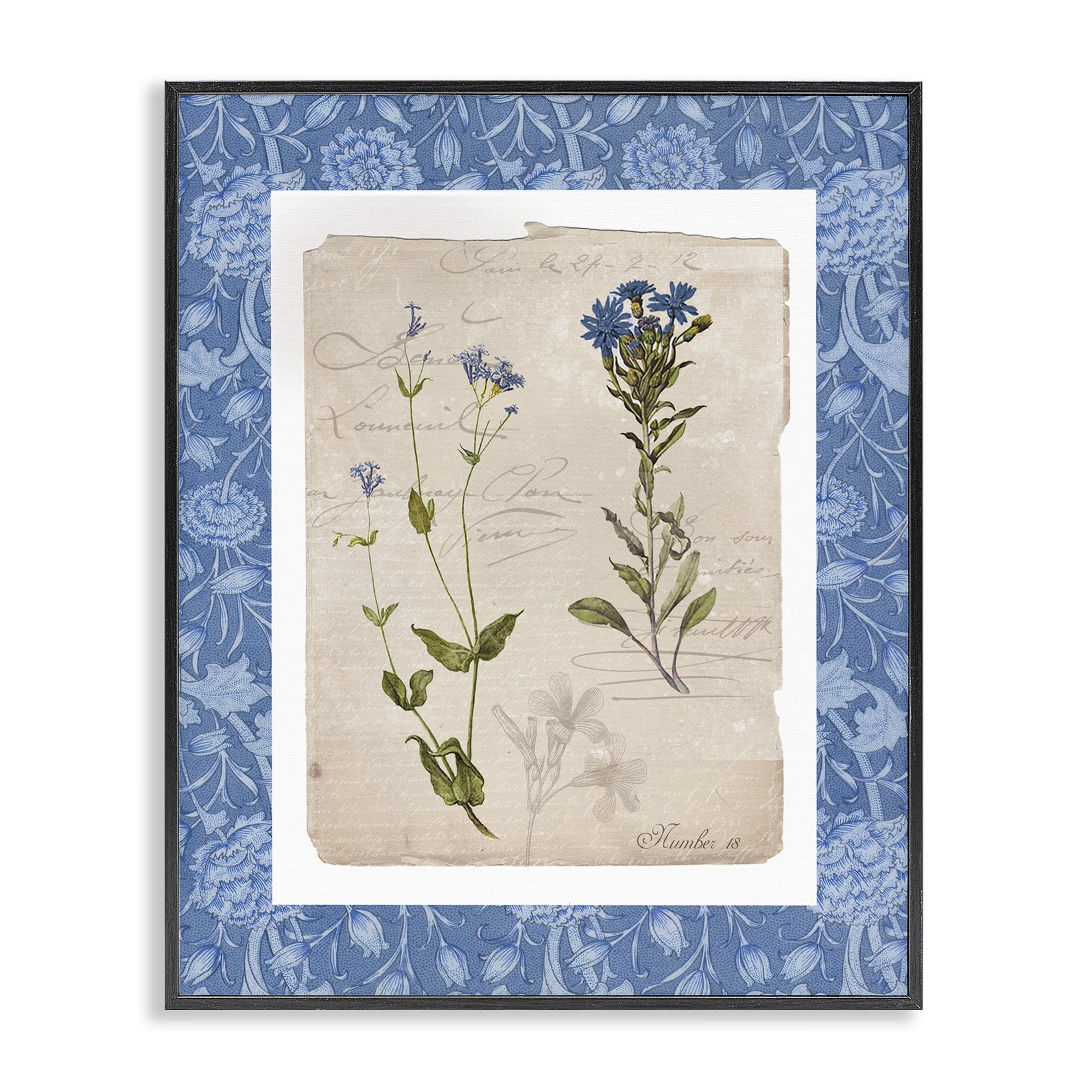 Stupell Industries Blue Vintage Botanicals Black Framed Giclee Art, design by Livi Finn