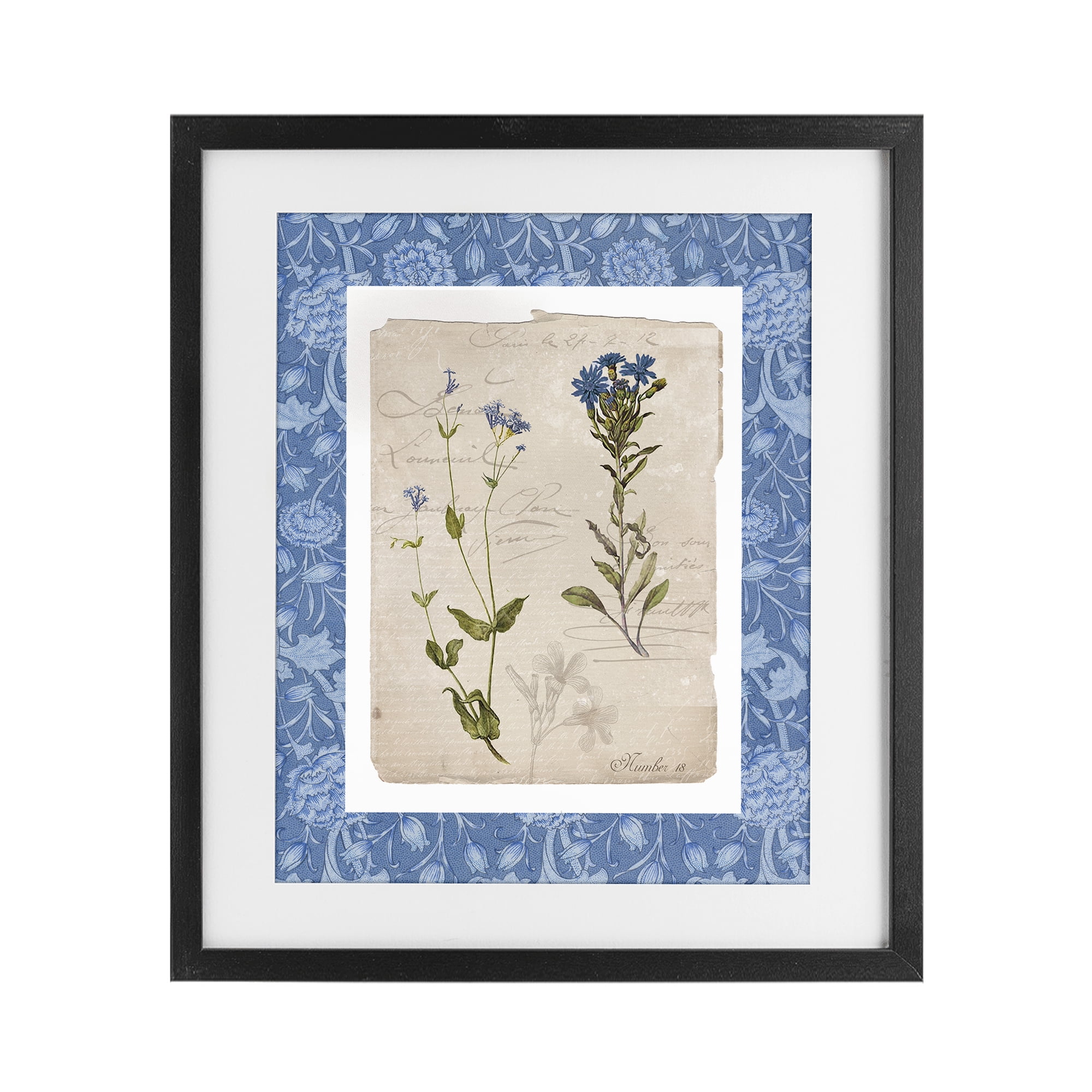 Stupell Industries Blue Vintage Botanicals Black Framed Print Under Glass, design by Livi Finn