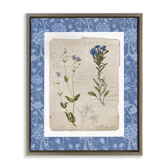 Stupell Industries Cottage Blue Vintage Botanicals Brown Floating Frame Canvas Art, 25 x 31, by Livi Finn