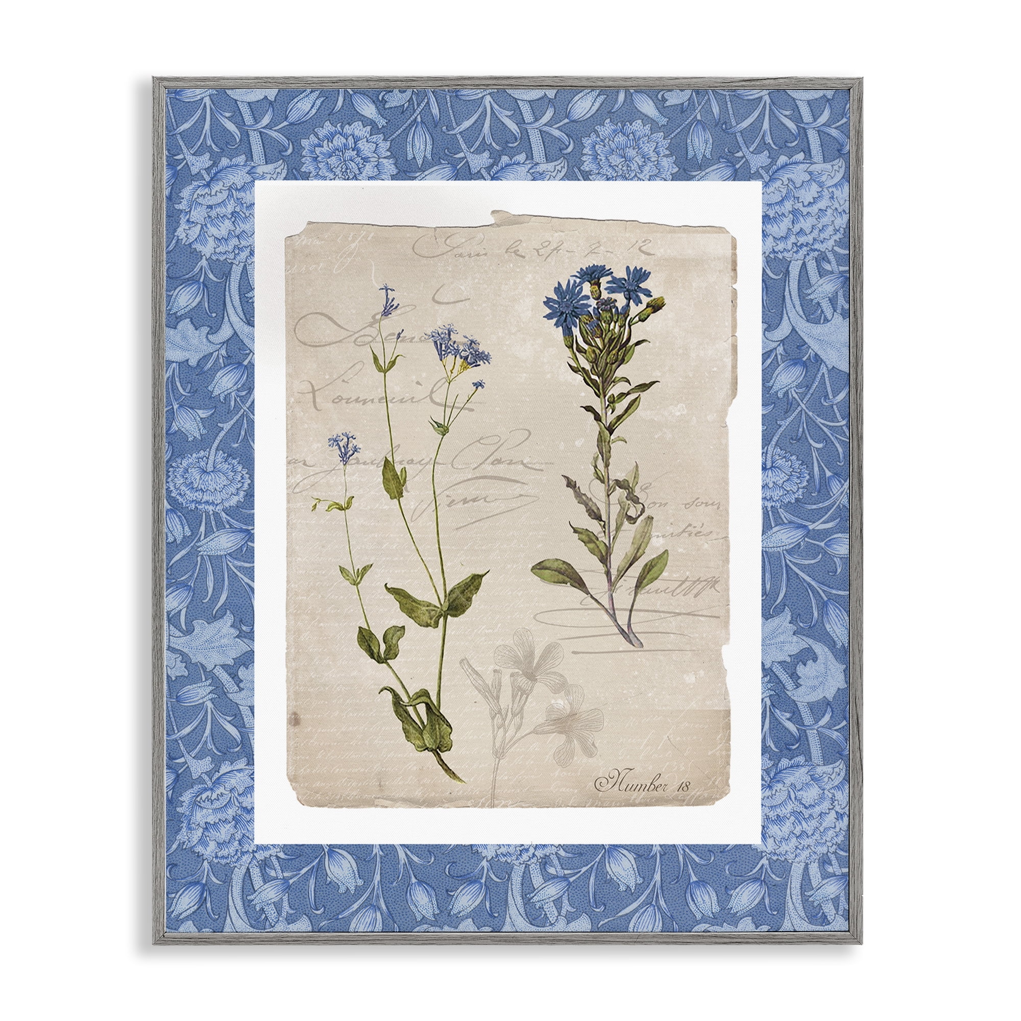 Stupell Industries Blue Vintage Botanicals Gray Framed Giclee Art, design by Livi Finn
