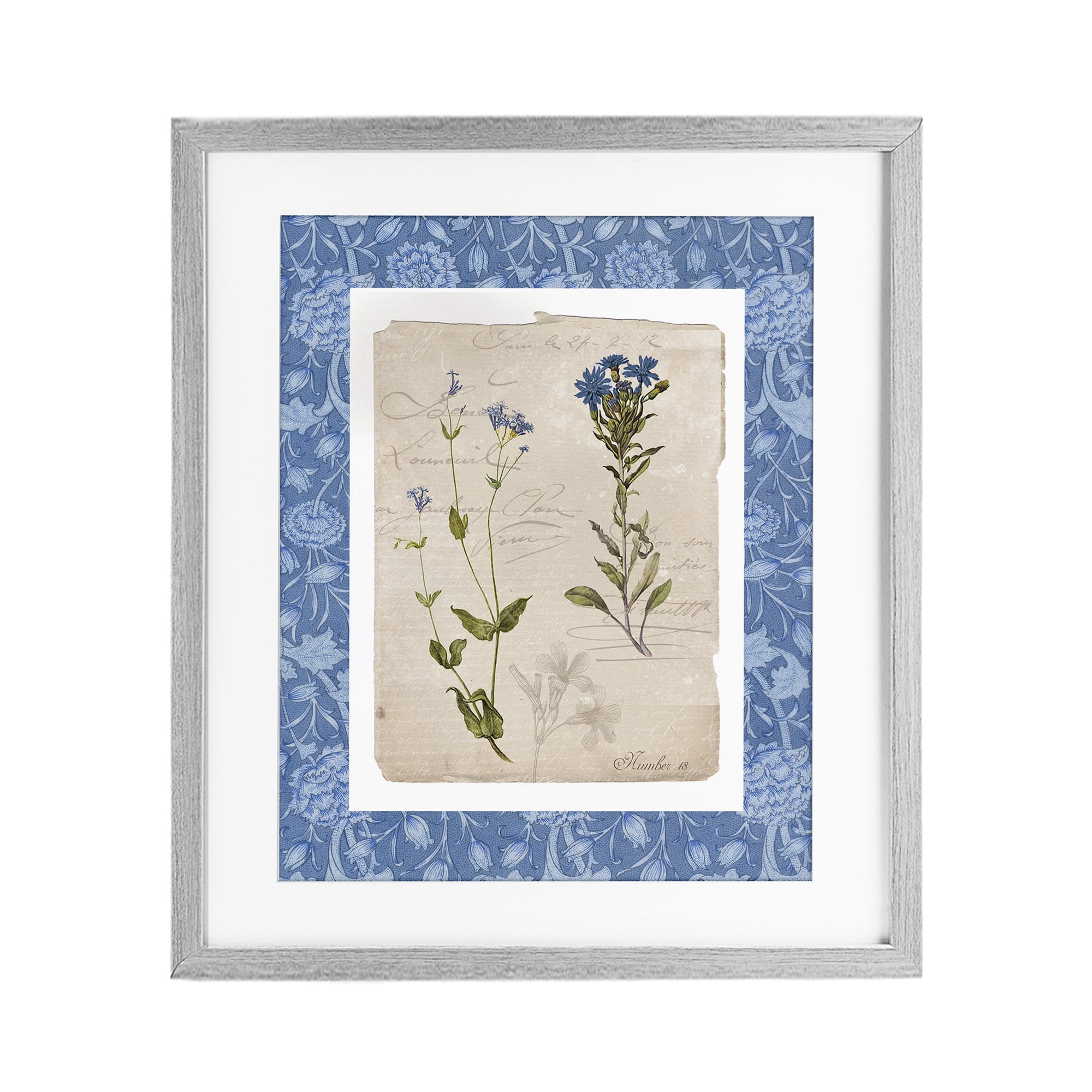 Stupell Industries Blue Vintage Botanicals Gray Framed Print Under Glass, design by Livi Finn