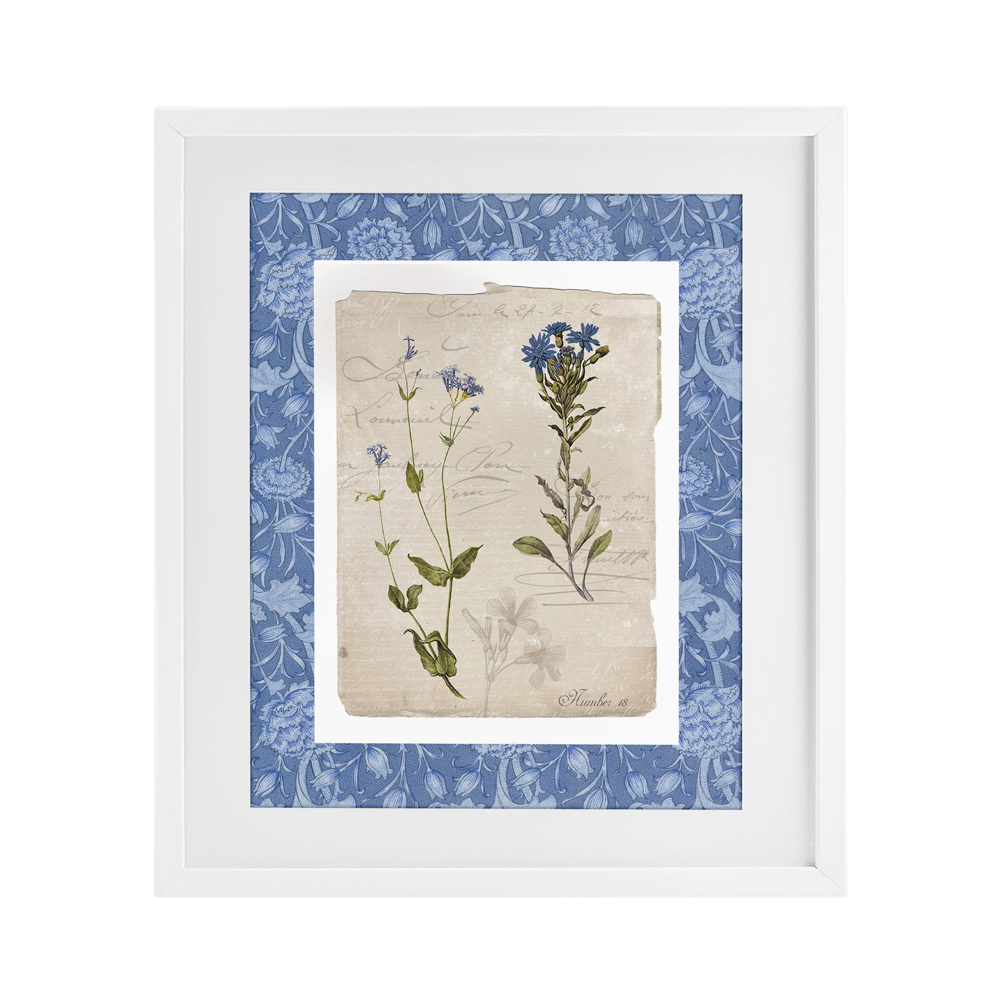 Stupell Industries Blue Vintage Botanicals White Framed Print Under Glass, design by Livi Finn
