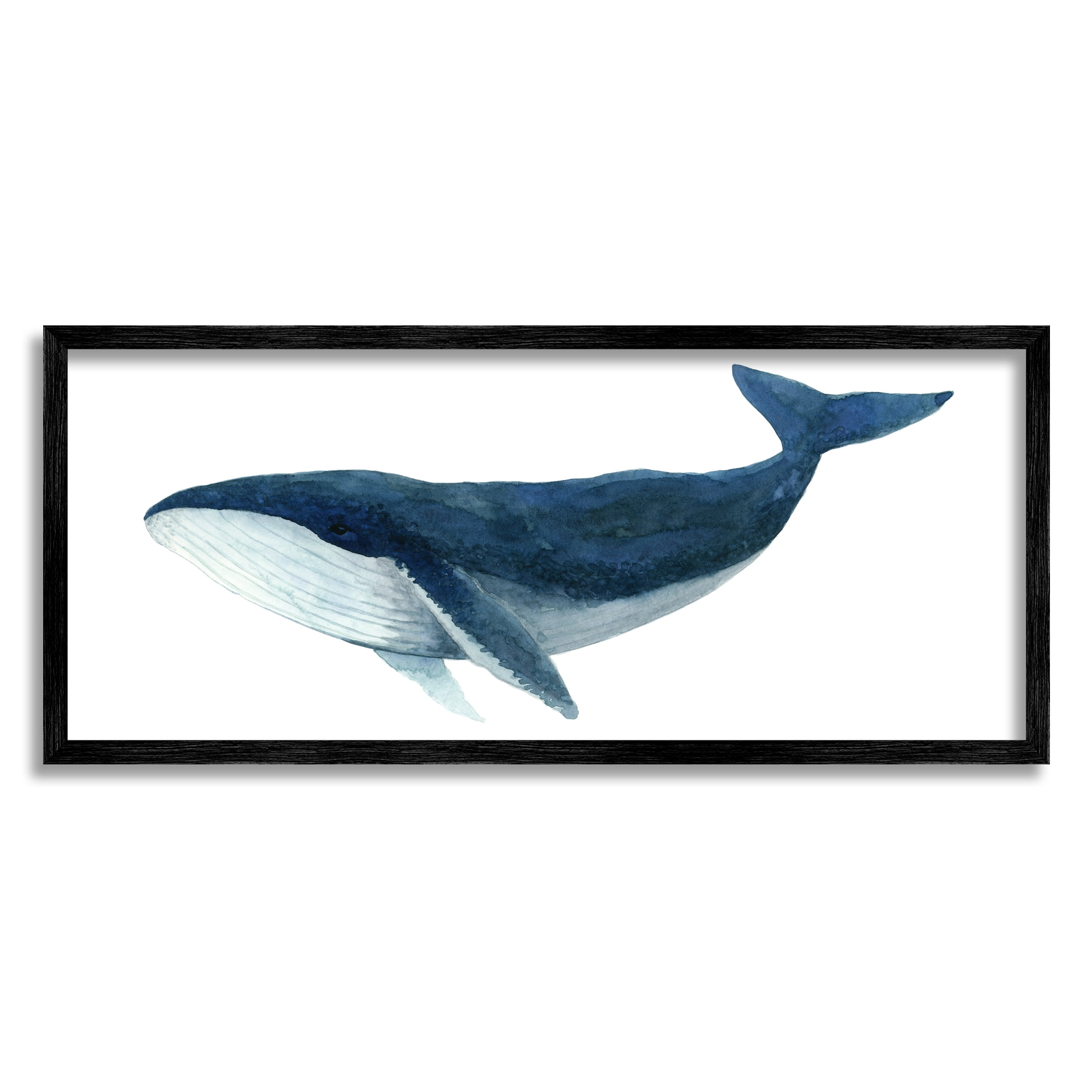 Stupell Industries Blue Whale Marine Animal Watercolor Painting over White, 24 x 10,Design by Jeannine Saylor