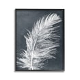 thumbnail image 1 of Stupell Industries Blue & White Feather Animals & Insects Painting Black Framed Art Print Wall Art, 24 x 30, 1 of 9