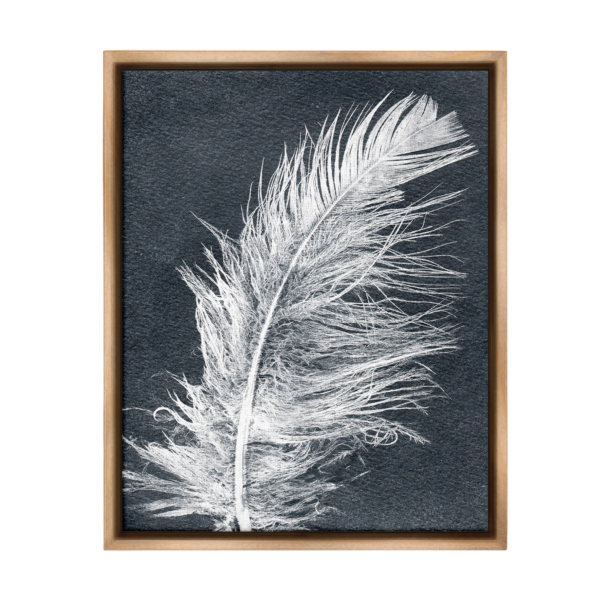 Stupell Industries Blue & White Feather Animals & Insects Painting Brown Floater Framed Canvas Art Print Wall Art, 17 x 21