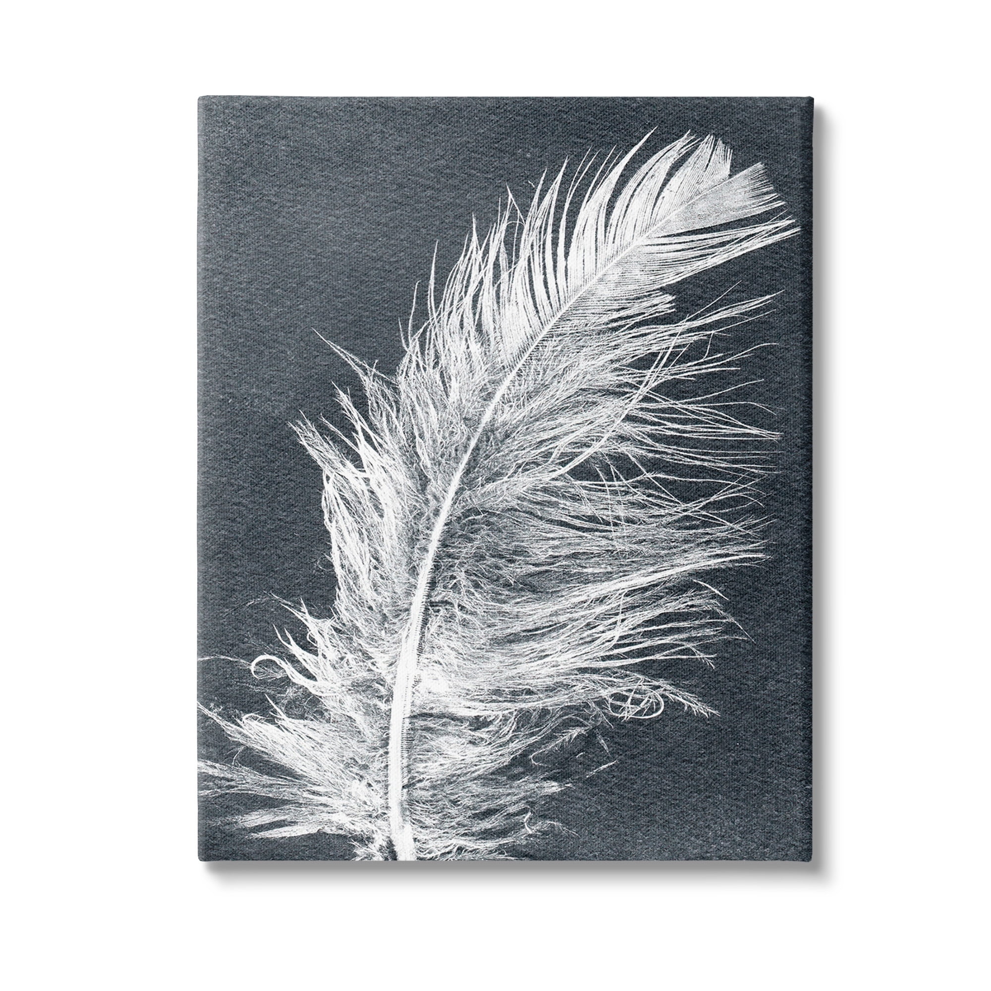 Stupell Industries Blue & White Feather Animals & Insects Painting Gallery Wrapped Canvas Art Print Wall Art, 36 x 48