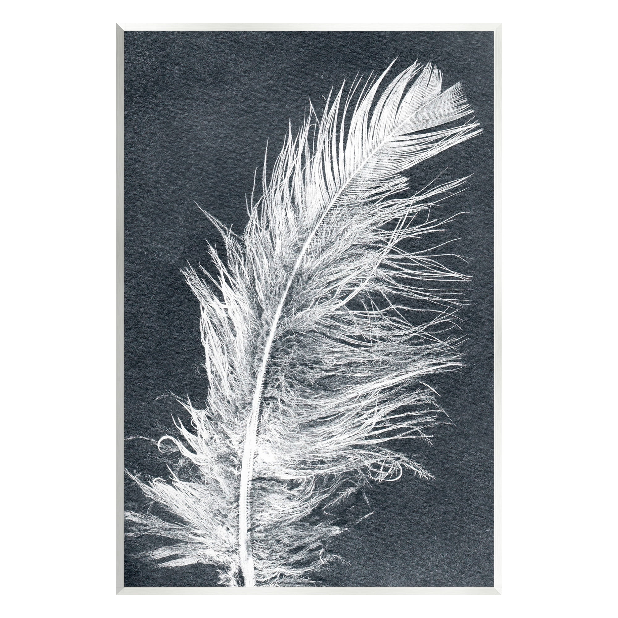 Stupell Industries Blue & White Feather Animals & Insects Painting Unframed Art Print Wall Art, 13 x 19