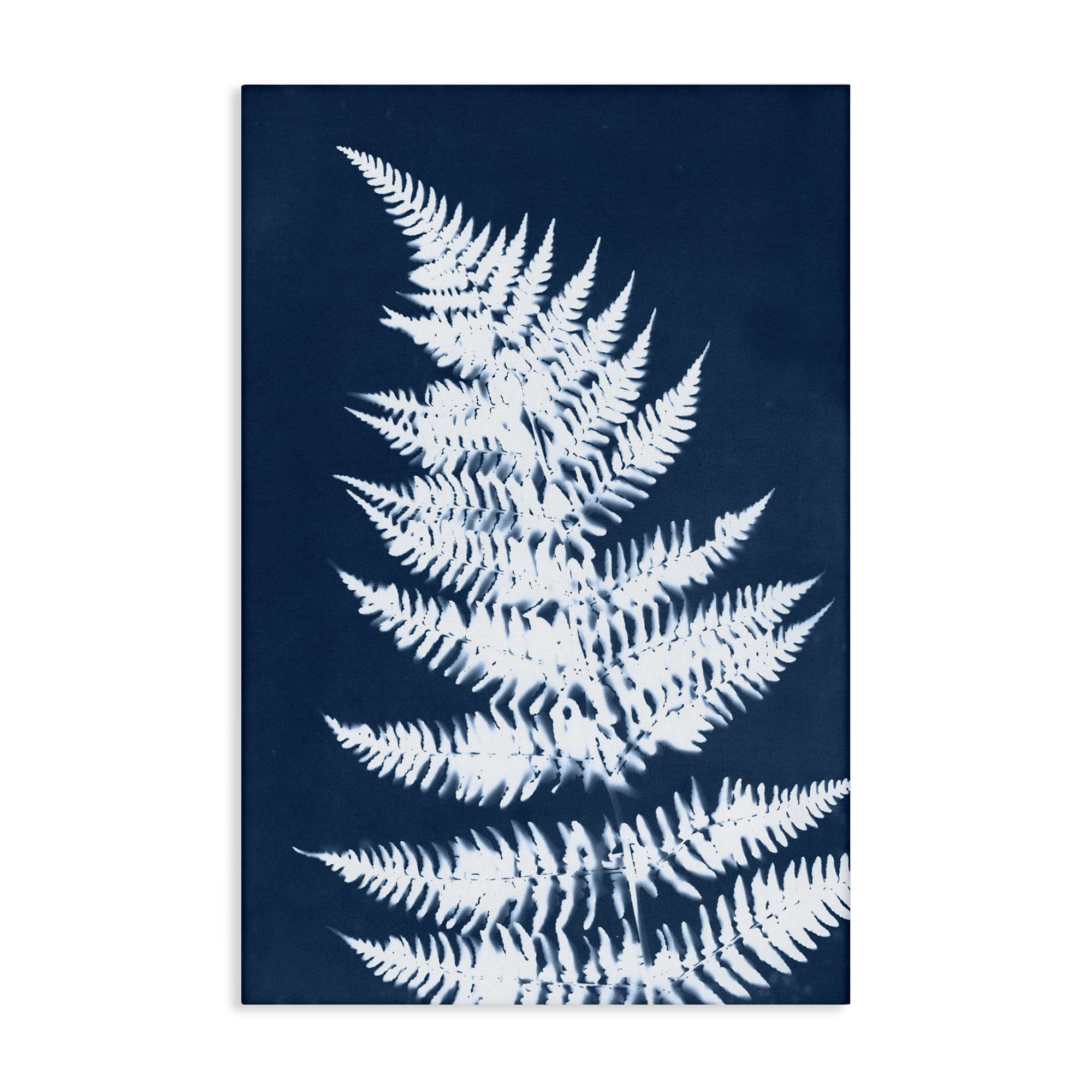 Stupell Industries Blue & White Fern Botanical & Floral Painting Gallery Wrapped Canvas Art Print Wall Art, 20 x 30