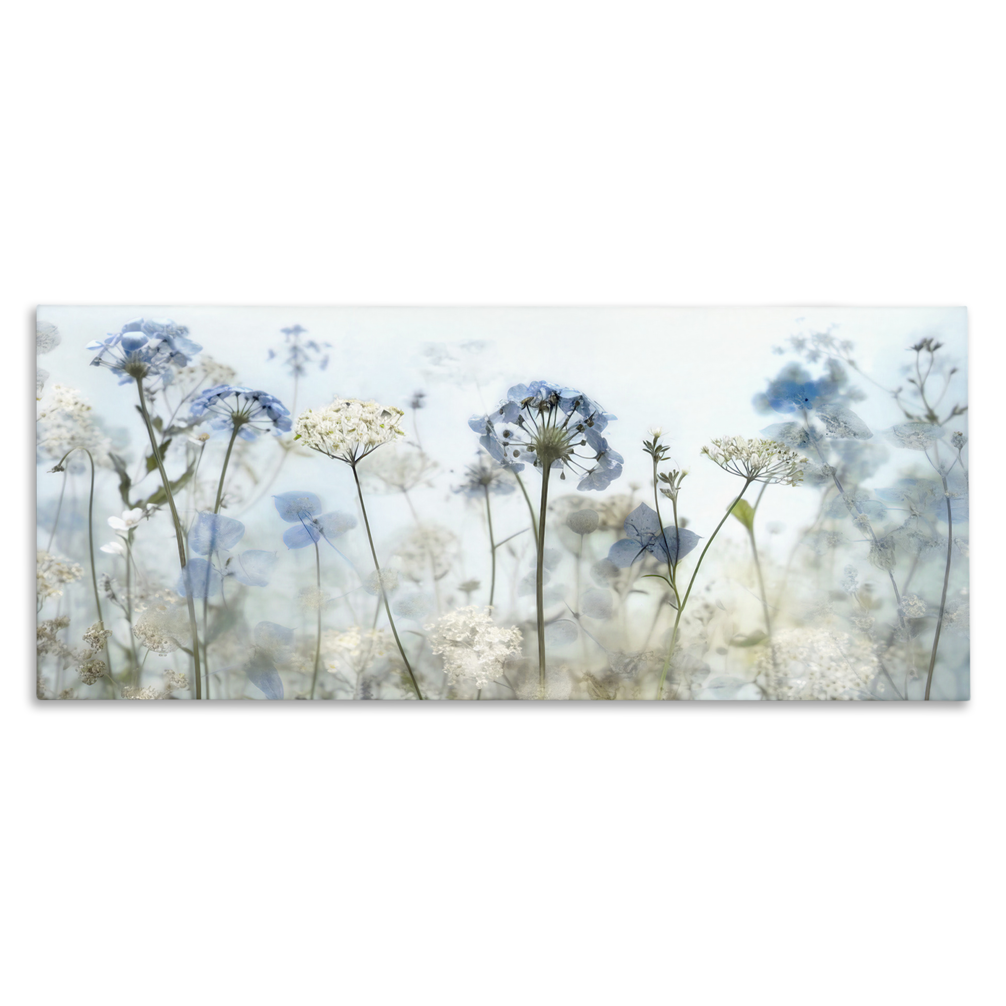 Stupell Industries Blue Wildflower Blooms Botanical & Floral Painting Gallery Wrapped Canvas Art Print Wall Art, 30 x 13