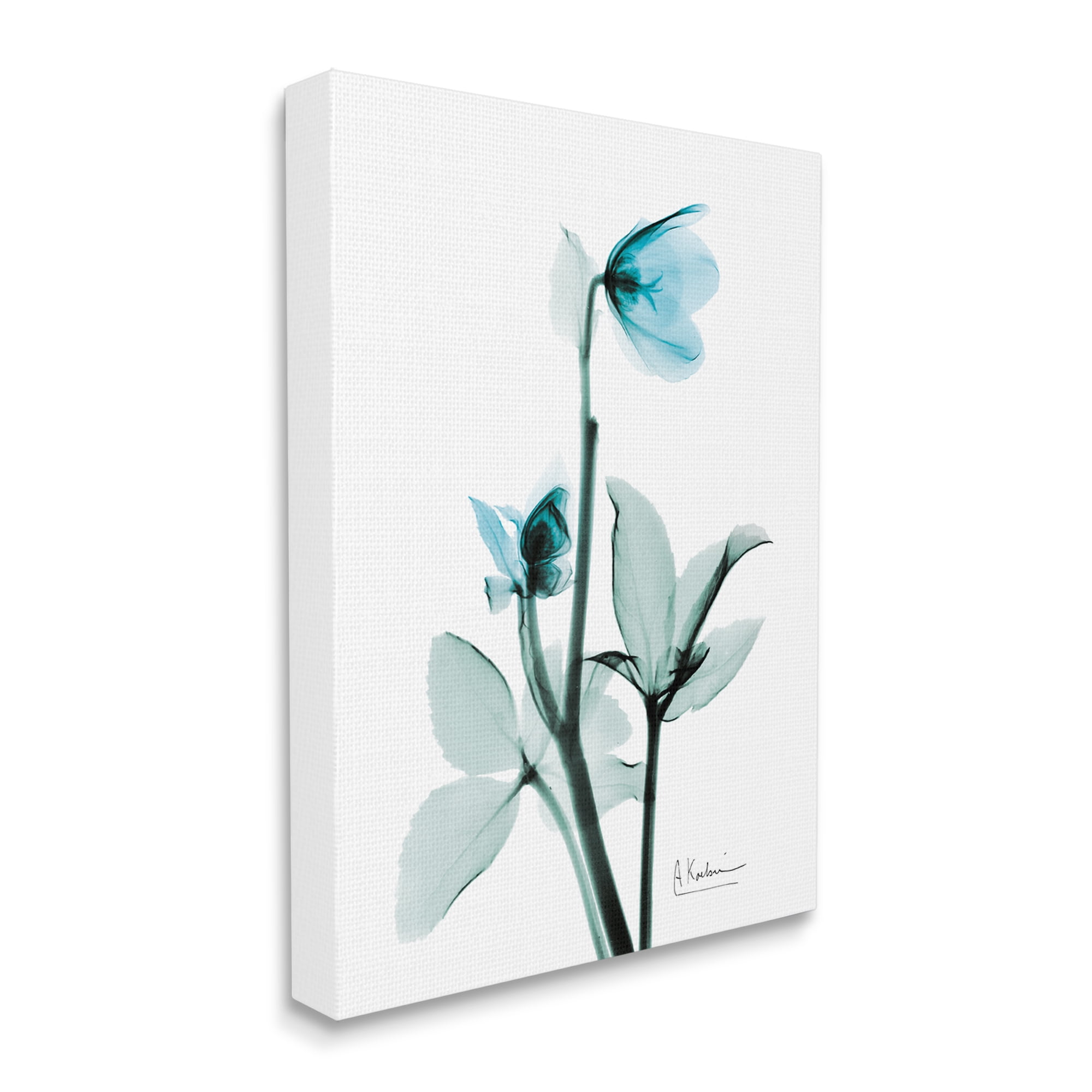 Stupell Industries Blue Wildflower Study Translucent Plant Botanical & Floral Photography Gallery Wrapped Canvas Print Wall Art, 30 x 40