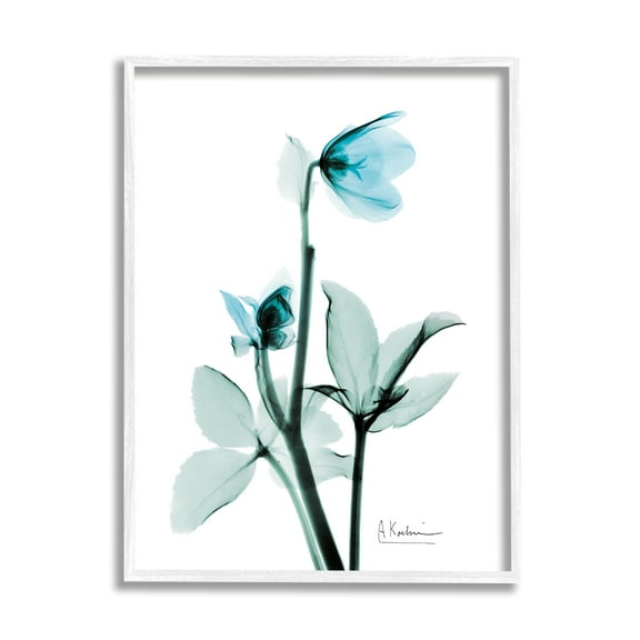 Stupell Industries Blue Wildflower Study Translucent Plant Botanical & Floral Photography White Framed Art Print Wall Art, 11 x 14