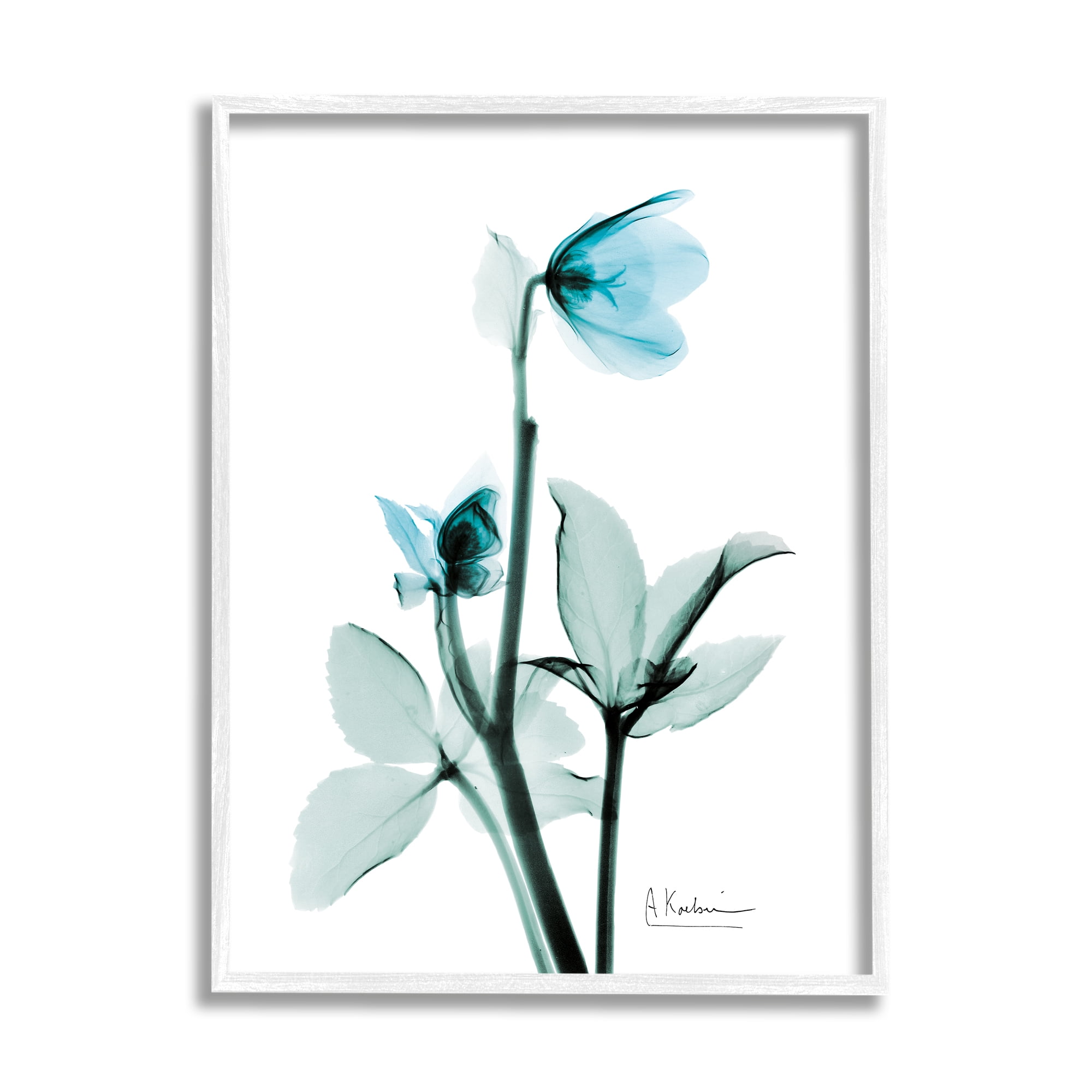Stupell Industries Blue Wildflower Study Translucent Plant Botanical & Floral Photography White Framed Art Print Wall Art, 16 x 20