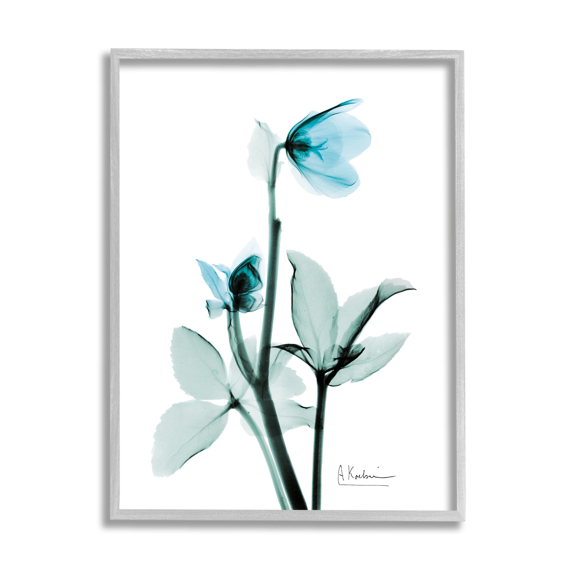 Stupell Industries Blue Wildflower Study Translucent Plant Photography, 16 x 20, Design by Albert Koetsier