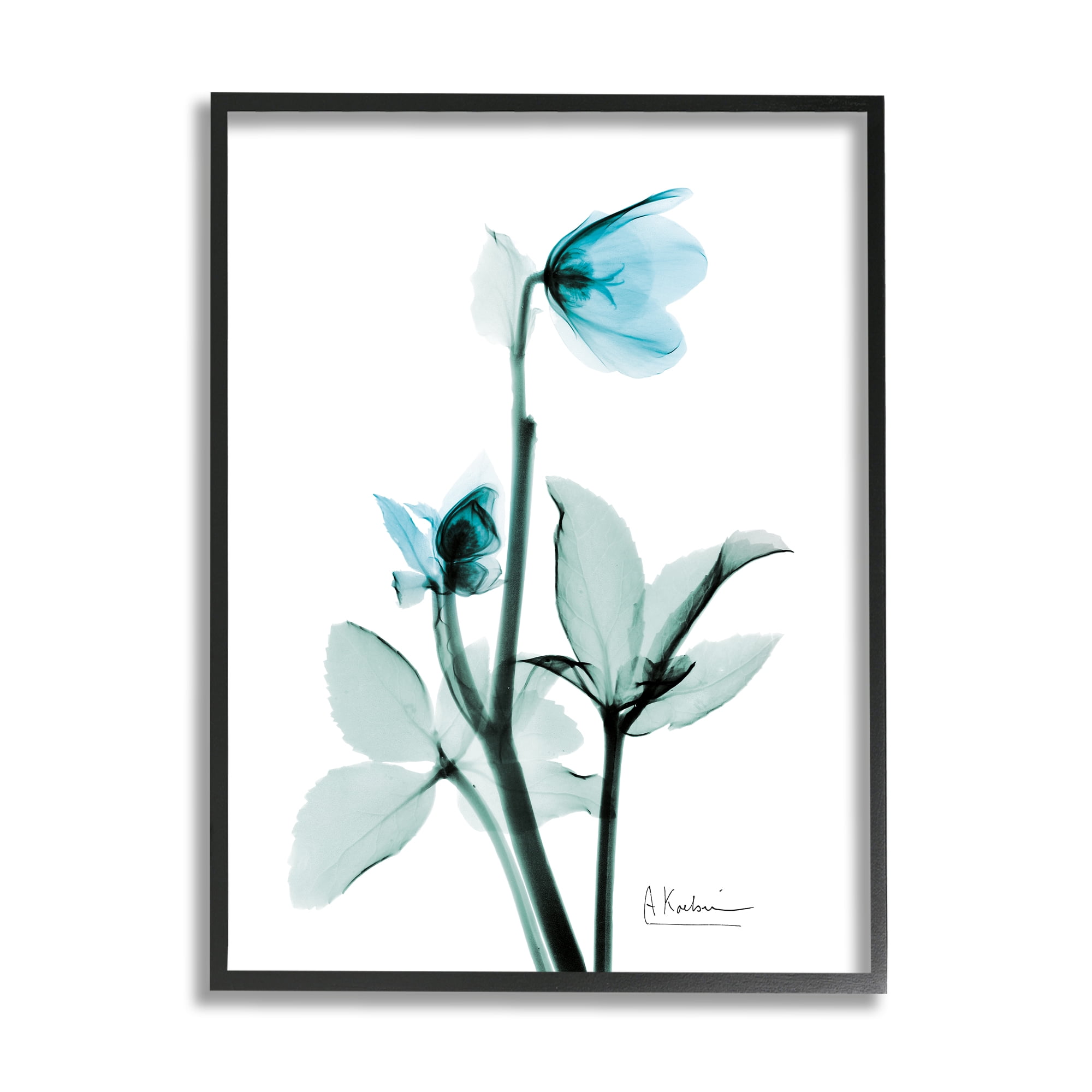 Stupell Industries Blue Wildflower Study Translucent Plant Photography, 24 x 30, Design by Albert Koetsier
