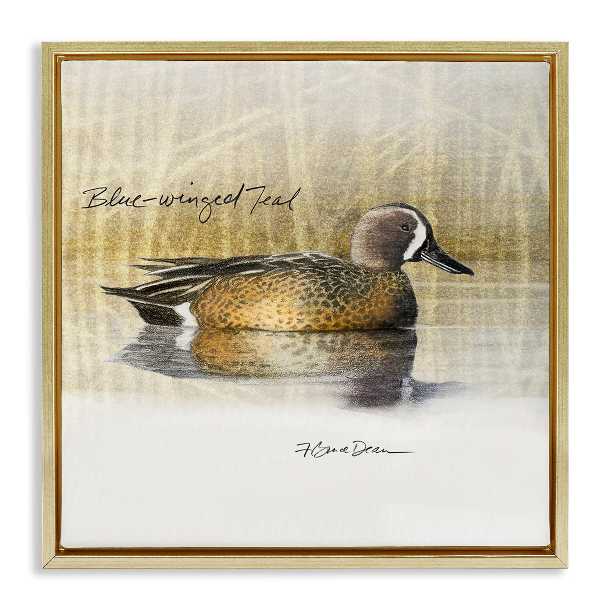 Stupell Industries Blue Winged Teal Duck Animals Painting Gold Floater Framed Canvas Art Print Wall Art, 18 x 18