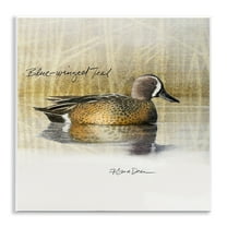 Stupell Industries Blue Winged Teal Duck Animals Painting Unframed Art Print Wall Art, 12 x 12