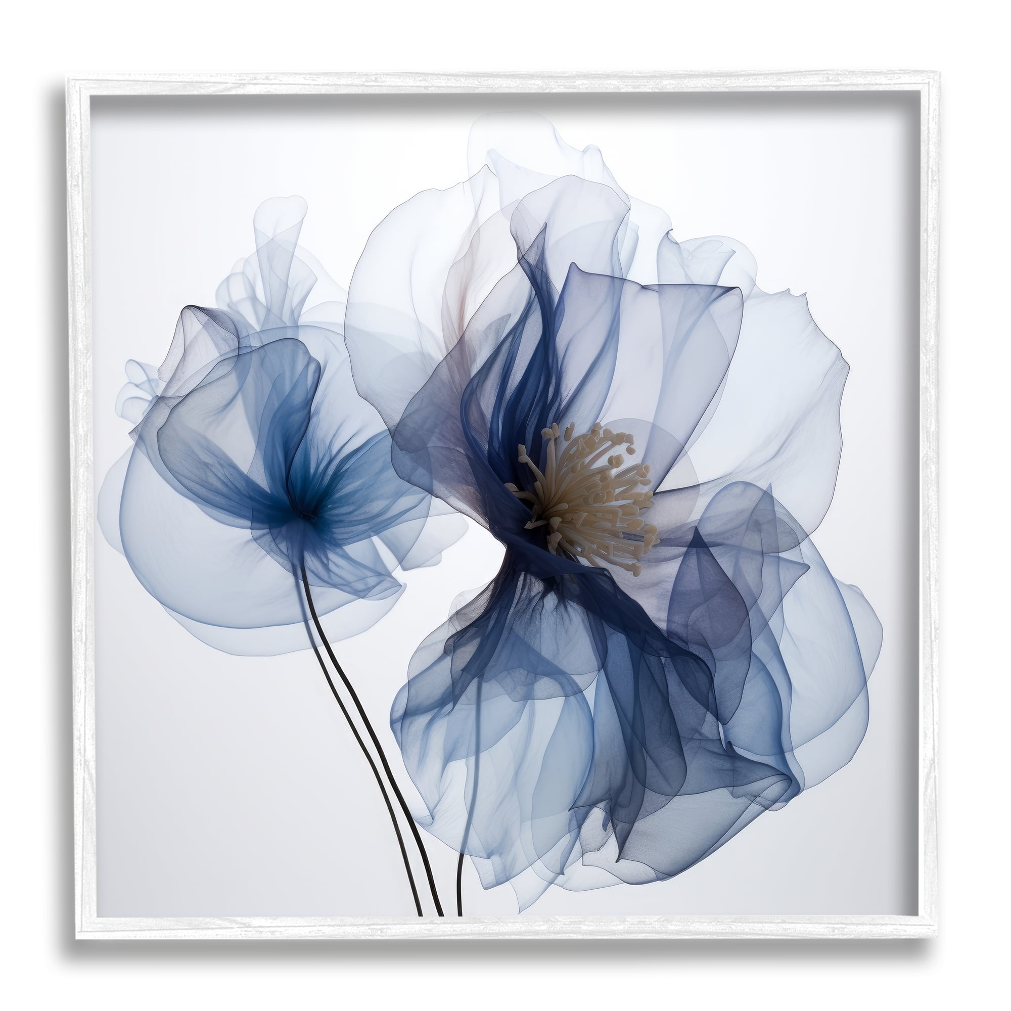Stupell Industries Blue X-Ray Flowers Botanical & Floral Photography White Framed Art Print Wall Art, 12 x 12