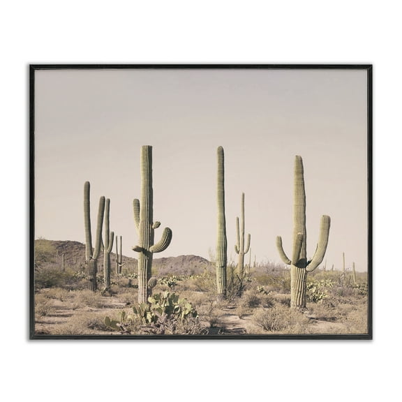 Stupell Industries Blush Cactus Field Landscape & Nature Photography Black Framed Art Print Wall Art, 14 x 11