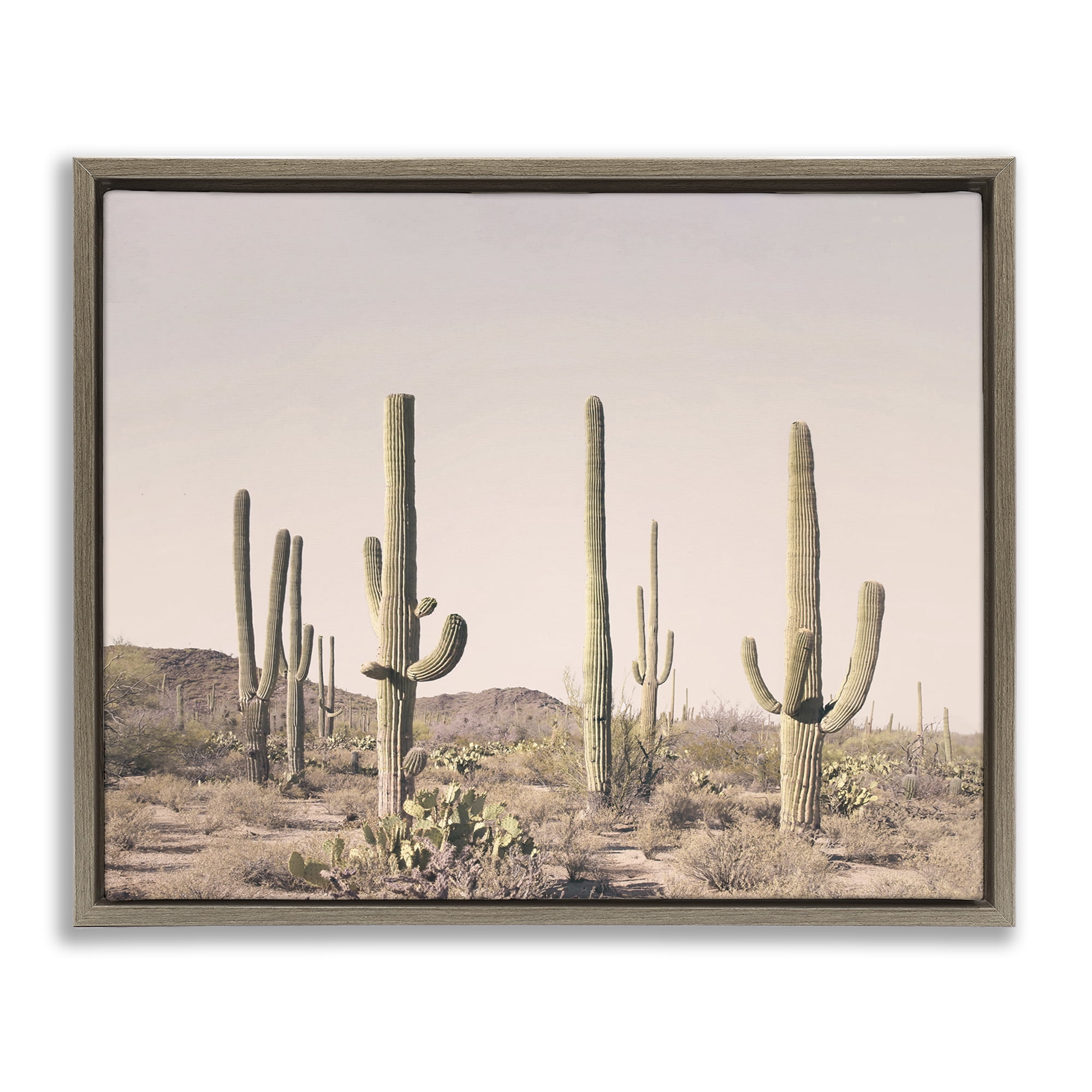 Stupell Industries Blush Cactus Field Landscape & Nature Photography Brown Floater Framed Canvas Art Print Wall Art, 31 x 25