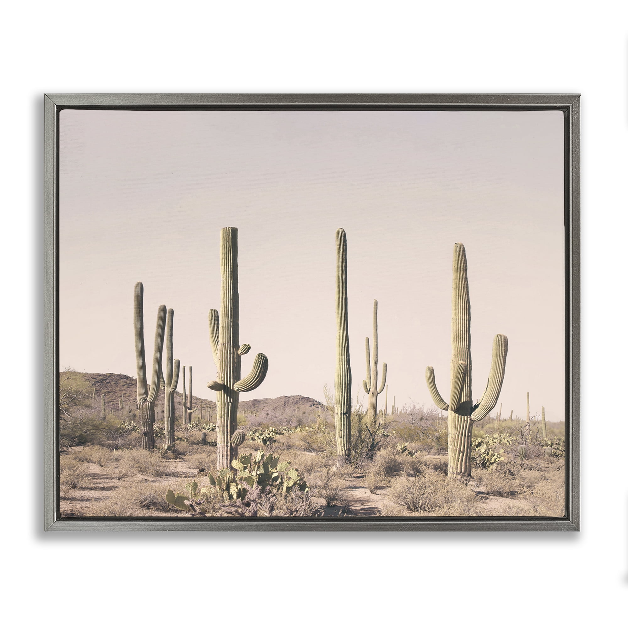 Stupell Industries Blush Cactus Field Landscape & Nature Photography Gray Floater Framed Canvas Art Print Wall Art, 21 x 17