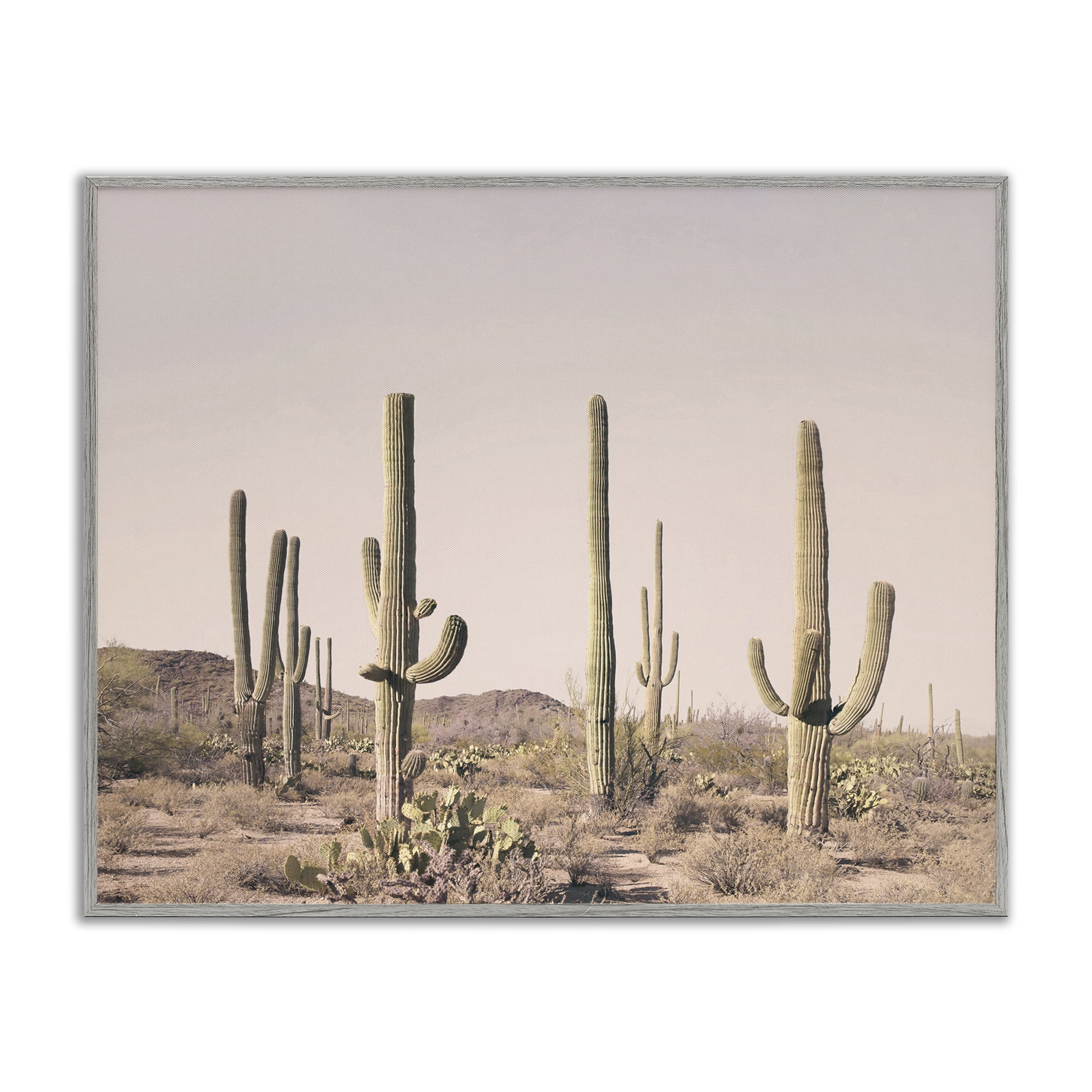 Stupell Industries Blush Cactus Field Landscape & Nature Photography Gray Framed Art Print Wall Art, 20 x 16