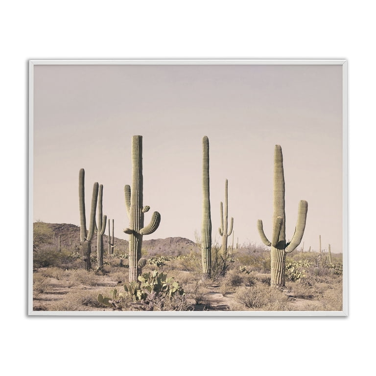 cactus candies Prickly Pear Cactus Candy 16 oz. Box main image 1