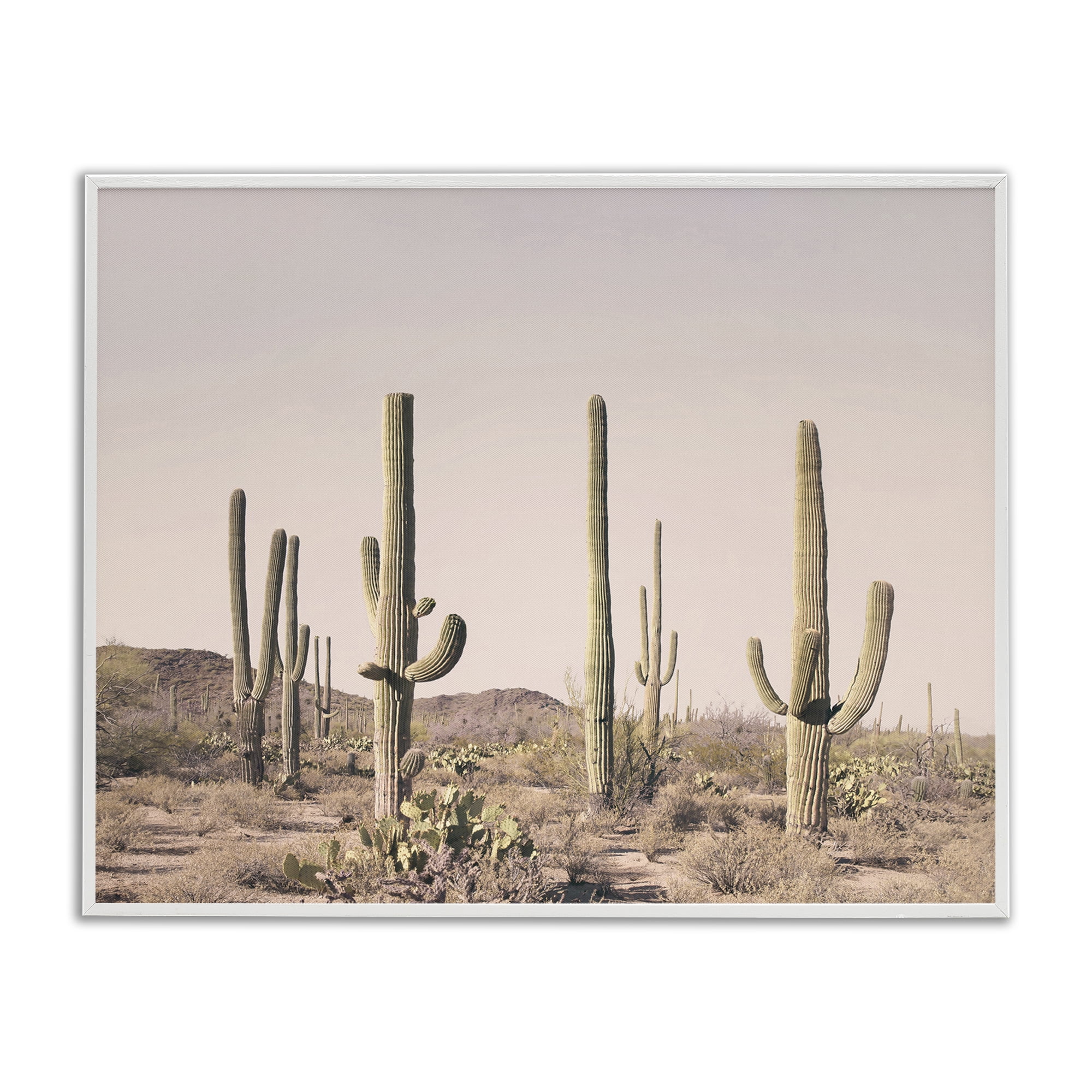 Stupell Industries Blush Cactus Field Landscape & Nature Photography White Framed Art Print Wall Art, 30 x 24