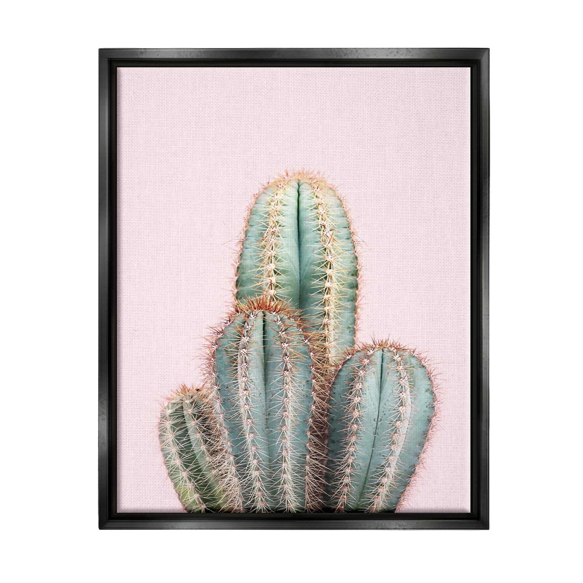Stupell Industries Blush Cactus Vegetation Botanical & Floral Photography Black Floater Framed Art Print Wall Art, 17 x 21