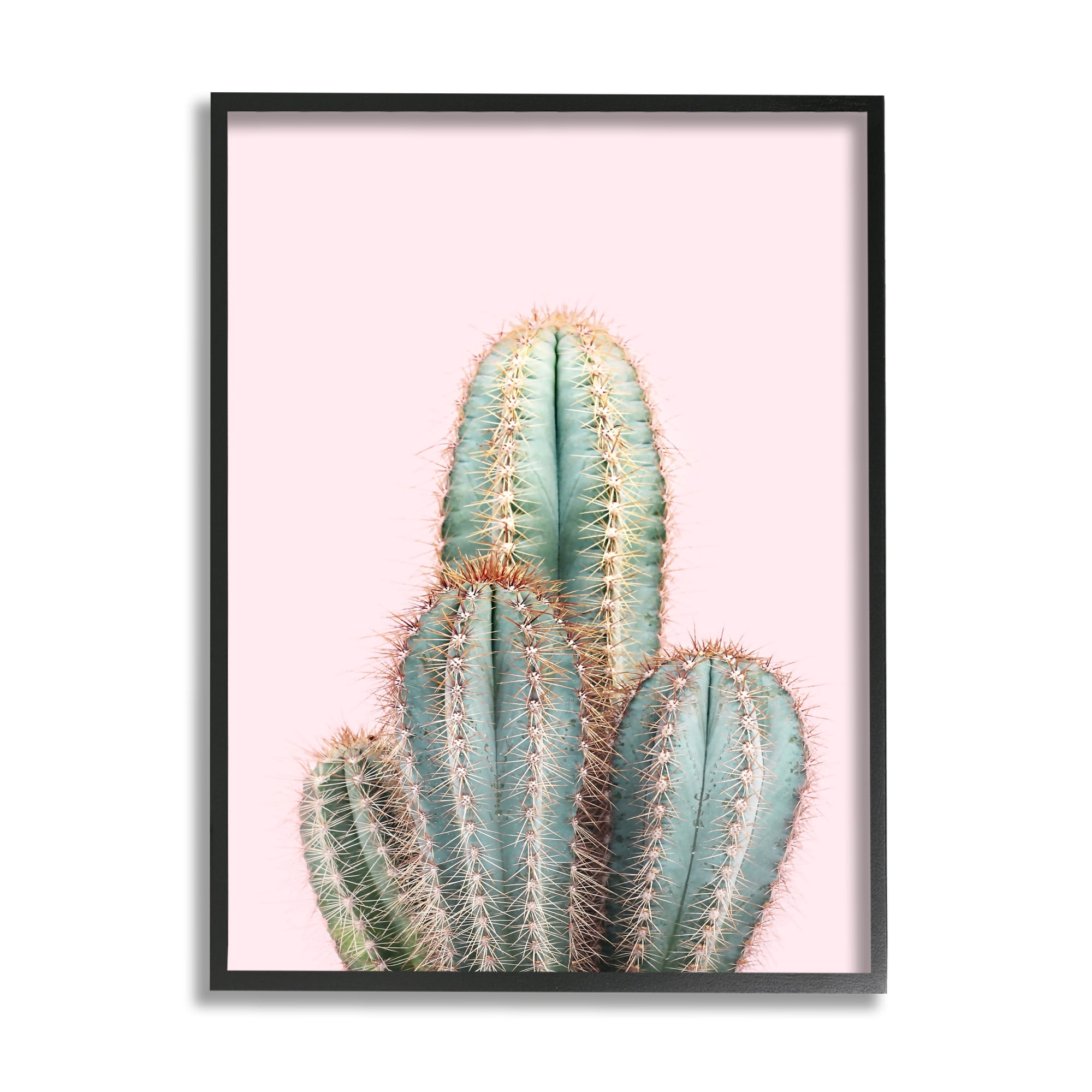 Stupell Industries Blush Cactus Vegetation Botanical & Floral Photography Black Framed Art Print Wall Art, 16 x 20