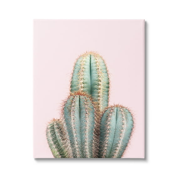 Stupell Industries Blush Cactus Vegetation Botanical & Floral Photography Gallery Wrapped Canvas Print Wall Art, 16 x 20