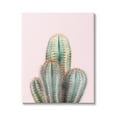 thumbnail image 1 of Stupell Industries Blush Cactus Vegetation Botanical & Floral Photography Gallery Wrapped Canvas Print Wall Art, 24 x 30, 1 of 7