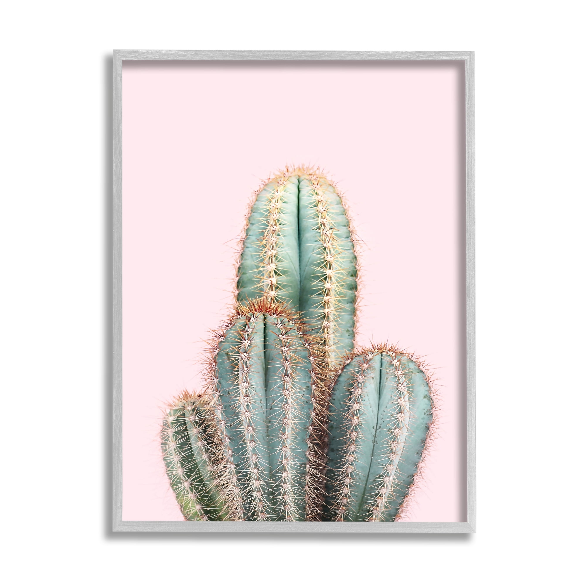 Stupell Industries Blush Cactus Vegetation Botanical & Floral Photography Gray Framed Art Print Wall Art, 24 x 30