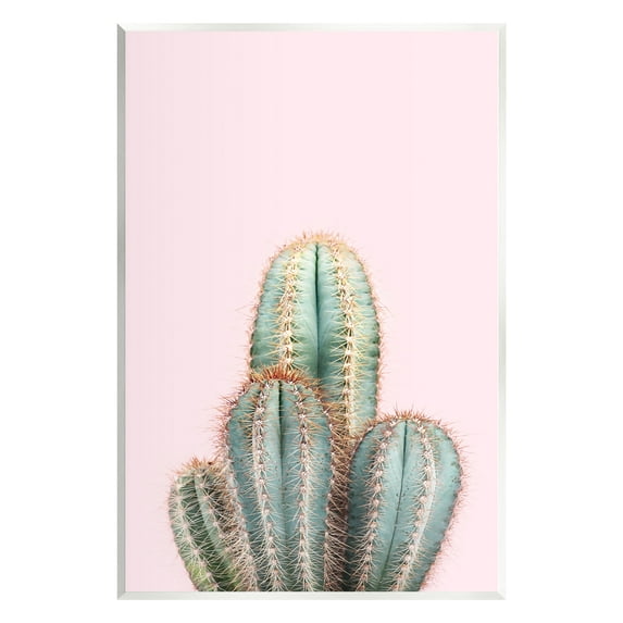Stupell Industries Blush Cactus Vegetation Botanical & Floral Photography Unframed Art Print Wall Art, 13 x 19