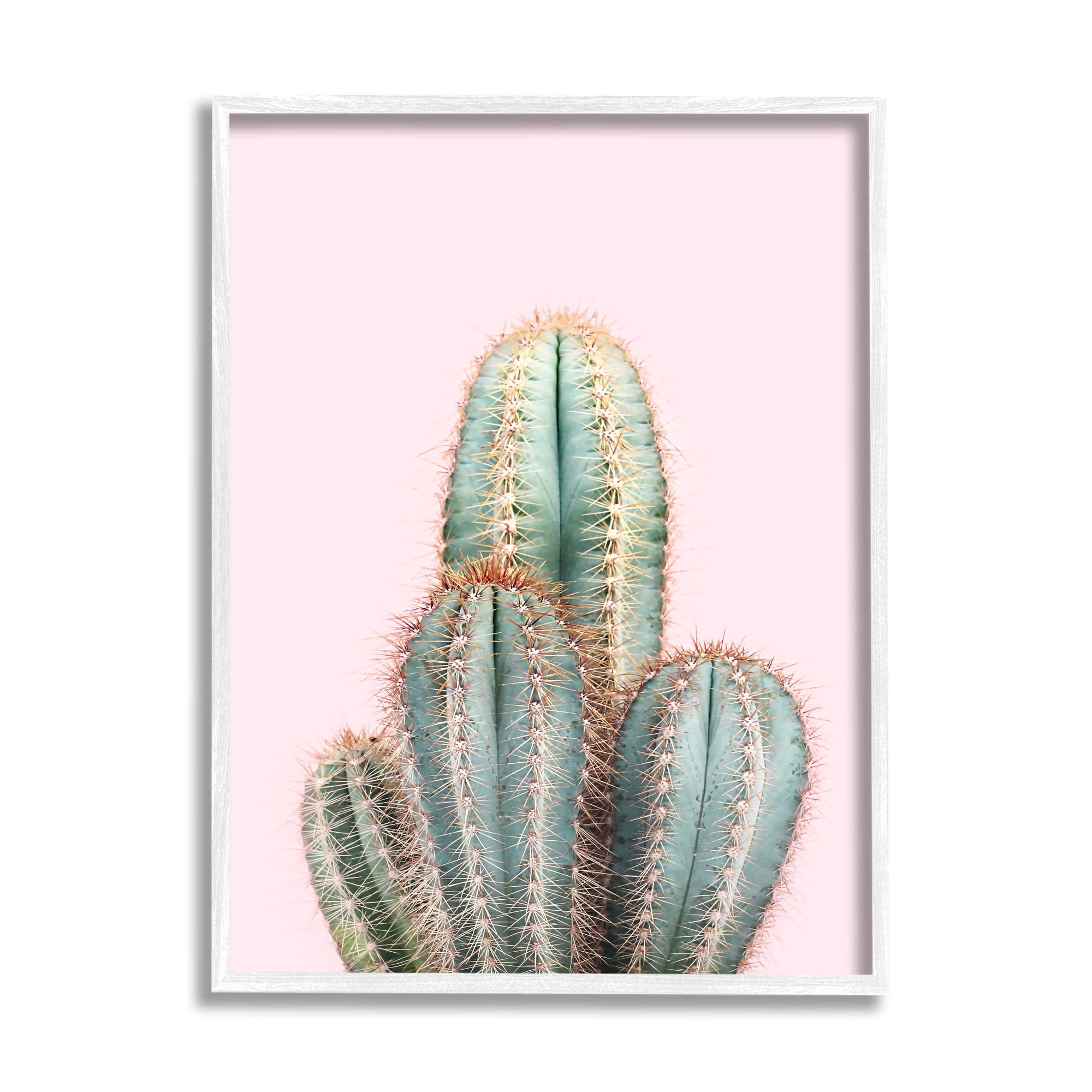 Stupell Industries Blush Cactus Vegetation Botanical & Floral Photography White Framed Art Print Wall Art, 24 x 30