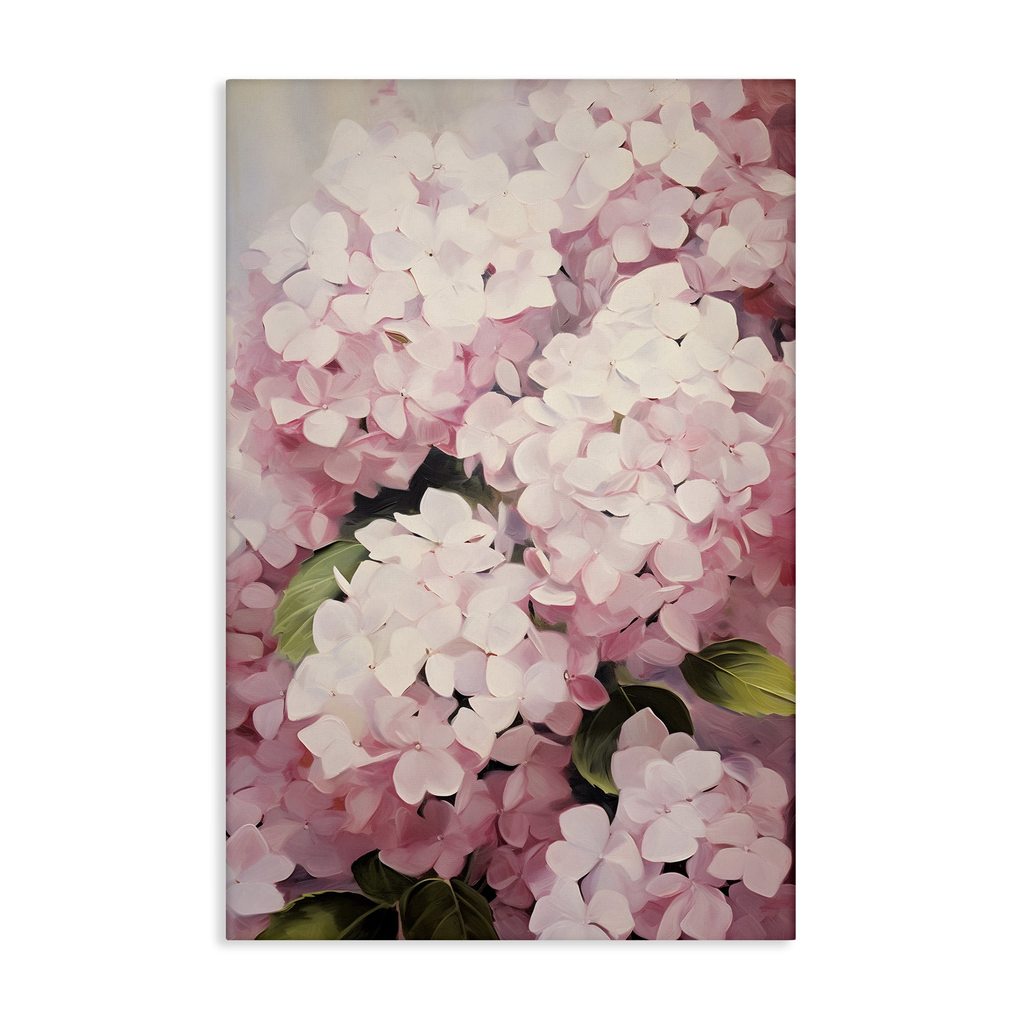 Stupell Industries Blush Pink Hydrangeas Botanical & Floral Painting Gallery Wrapped Canvas Art Print Wall Art, 24 x 36