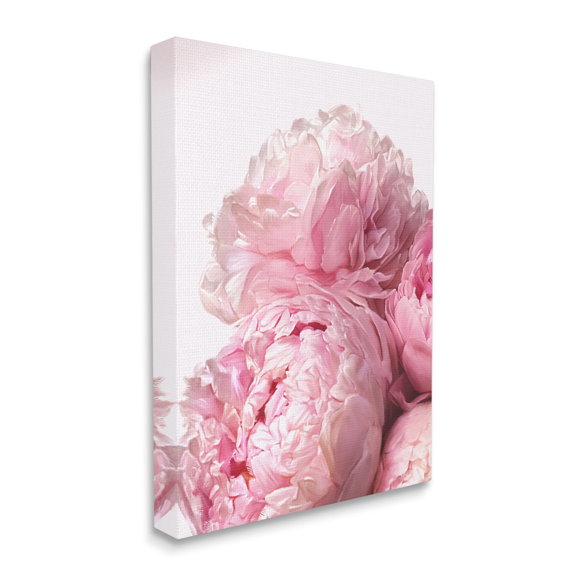 Stupell Industries Blush Pink Peonies Florals Blooming over White Botanical & Floral Painting Gallery Wrapped Canvas Print Wall Art, 24 x 30