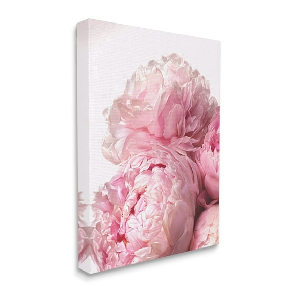 Stupell Industries Blush Pink Peonies Florals Blooming over White Botanical & Floral Painting Gallery Wrapped Canvas Print Wall Art, 30 x 40